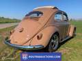 Volkswagen Beetle Oval Ragtop 1957 | Route 66 auctions Bruin - thumbnail 3