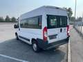 Fiat Ducato 35 3.0 CNG PM-TM Panorama 9 POSTI Weiß - thumbnail 5