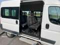 Fiat Ducato 35 3.0 CNG PM-TM Panorama 9 POSTI Weiß - thumbnail 10