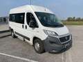 Fiat Ducato 35 3.0 CNG PM-TM Panorama 9 POSTI Weiß - thumbnail 3