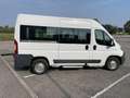 Fiat Ducato 35 3.0 CNG PM-TM Panorama 9 POSTI Weiß - thumbnail 4