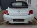 Volkswagen Beetle 1.2TSI Sound Plus Standheizung Kamera Bianco - thumbnail 6