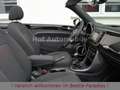 Volkswagen Beetle 1.2TSI Sound Plus Standheizung Kamera Blanc - thumbnail 18