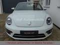Volkswagen Beetle 1.2TSI Sound Plus Standheizung Kamera Bianco - thumbnail 5