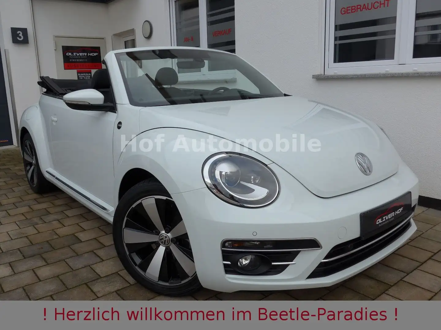 Volkswagen Beetle 1.2TSI Sound Plus Standheizung Kamera Bianco - 1