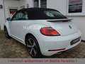 Volkswagen Beetle 1.2TSI Sound Plus Standheizung Kamera Bianco - thumbnail 4