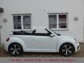 Volkswagen Beetle 1.2TSI Sound Plus Standheizung Kamera Bianco - thumbnail 3