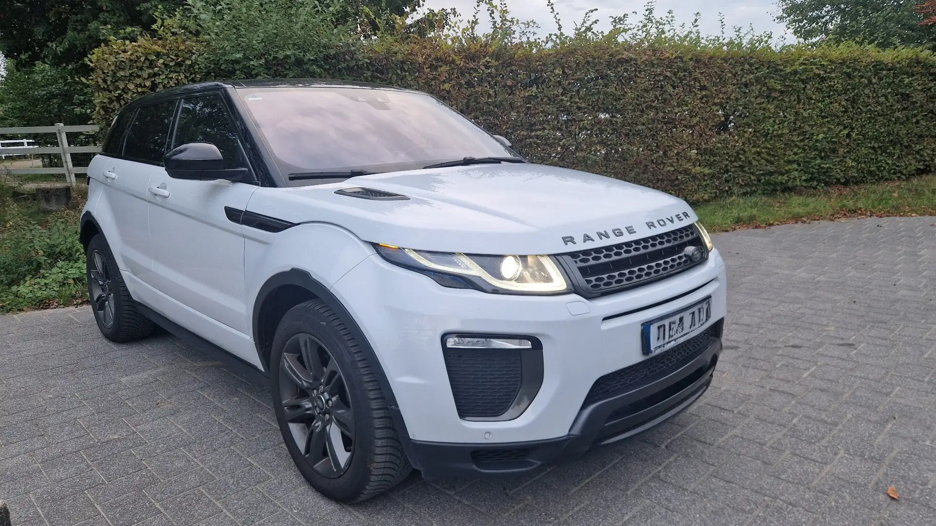 Land Rover Range Rover Evoque SE Dynamic Landmark Weiß - 2