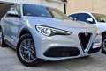 Alfa Romeo Stelvio Stelvio 2020 2.2 t Business Q4 190cv auto Bianco - thumbnail 2