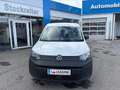 Volkswagen Caddy Caddy Maxi Cargo 2,0 TDI Weiß - thumbnail 2