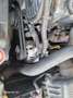 Ford Ranger Ranger Doppelkabine 2,5 TD Weiß - thumbnail 14