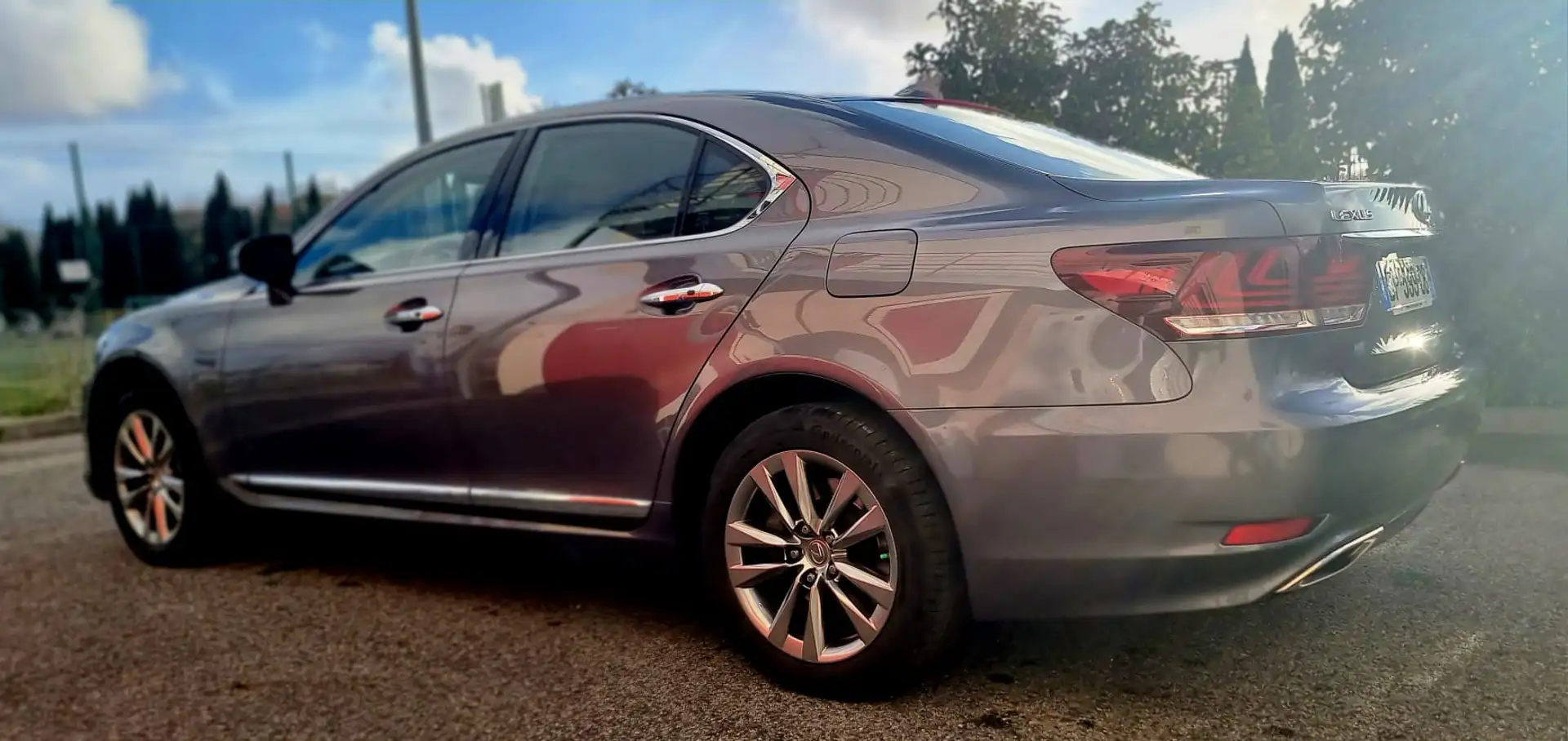 Lexus LS 460 LS 460 4WD Executive A Gris - 2