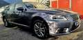 Lexus LS 460 LS 460 4WD Executive A Gris - thumbnail 6