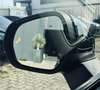 Ford Puma 1.0 EcoBoost Hybrid ST-Line X Pano Automaat Ford P Noir - thumbnail 16