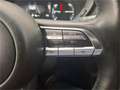Mazda MX-30 35,5kWh GTE+ Grau - thumbnail 14
