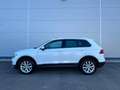 Volkswagen Tiguan 2.0 TDI 4Motion DSG Highline*HEAD UP*AHK*GARANTIE* Weiß - thumbnail 4