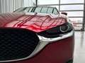 Mazda CX-30 2.5L G140PS 6MT 2WD Prime - Line Rot - thumbnail 8