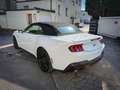 Ford Mustang 5.0 GT PREMIUM*LED*BREMBO*CARPLAY*2024 Weiß - thumbnail 7