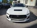 Ford Mustang 5.0 GT PREMIUM*LED*BREMBO*CARPLAY*2024 Weiß - thumbnail 2