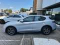 Alfa Romeo Stelvio 2.2 t Ti Q4 210cv auto TETTO Grigio - thumbnail 7