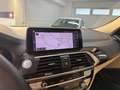 BMW X4 xDrive20d 48V xLine Blu/Azzurro - thumbnail 15