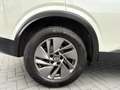 Nissan Qashqai 1.3 MHEV Business Access, Adapt.cruise, LaneAssist Wit - thumbnail 18