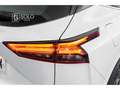Nissan Qashqai 1.3 DIG-T mHEV 12V Acenta 4x2 Aut. 116kW Blanco - thumbnail 11