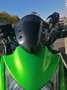 Kawasaki Groen - thumbnail 13