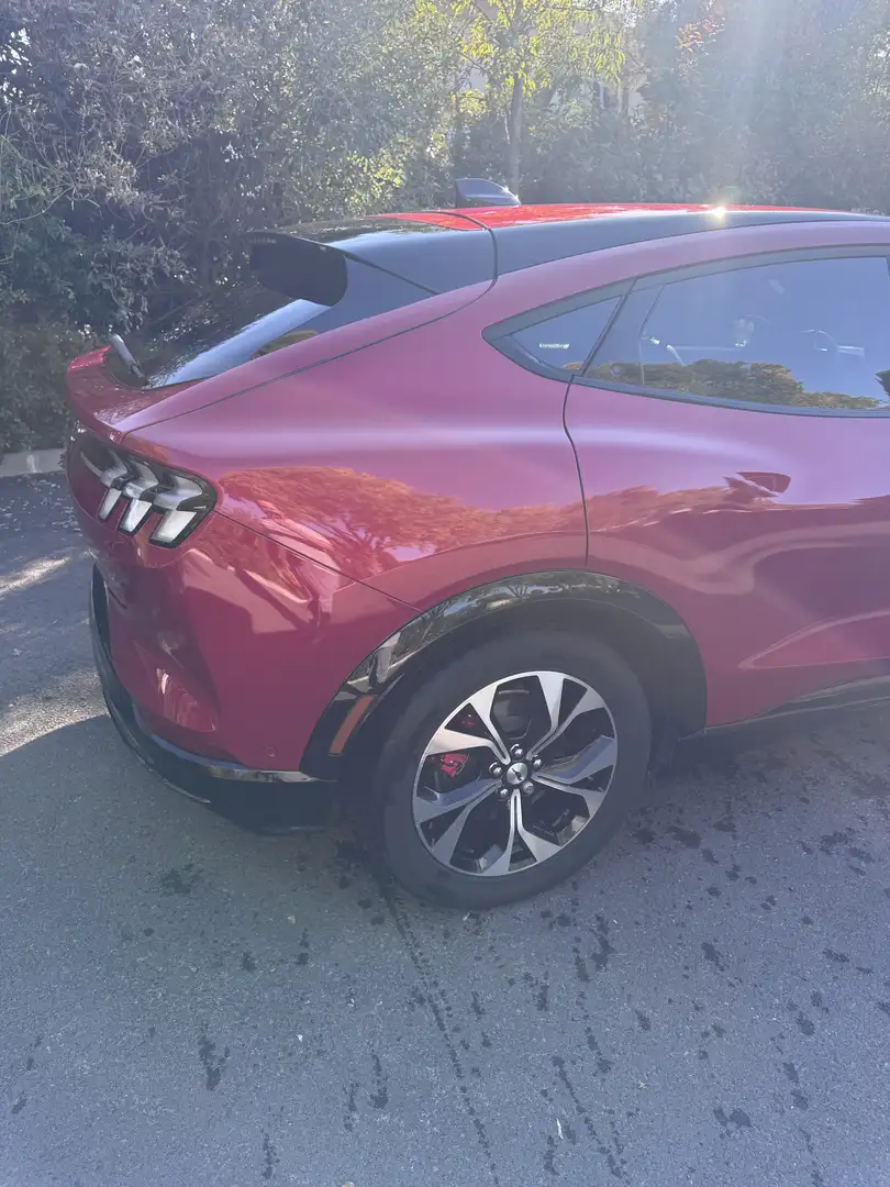 Ford Mustang Mach-E standard range premium 315ch 4 rouesmotrices - 2