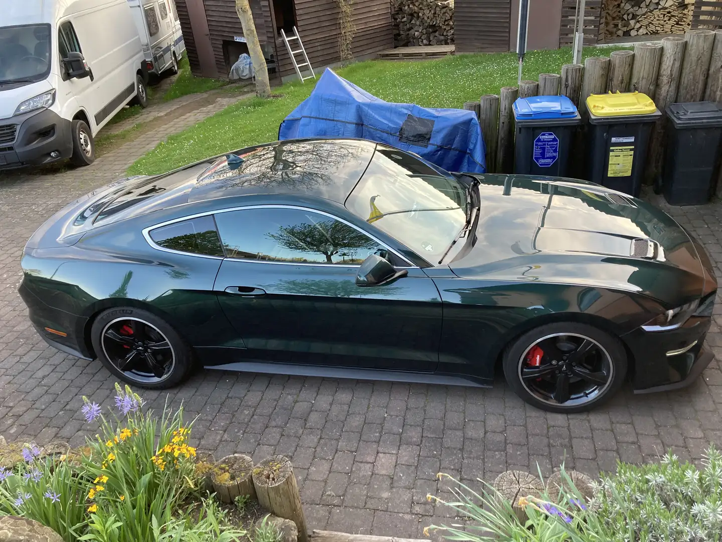 Ford Mustang Fastback 5.0 Ti-VCT V8 BULLITT - 1