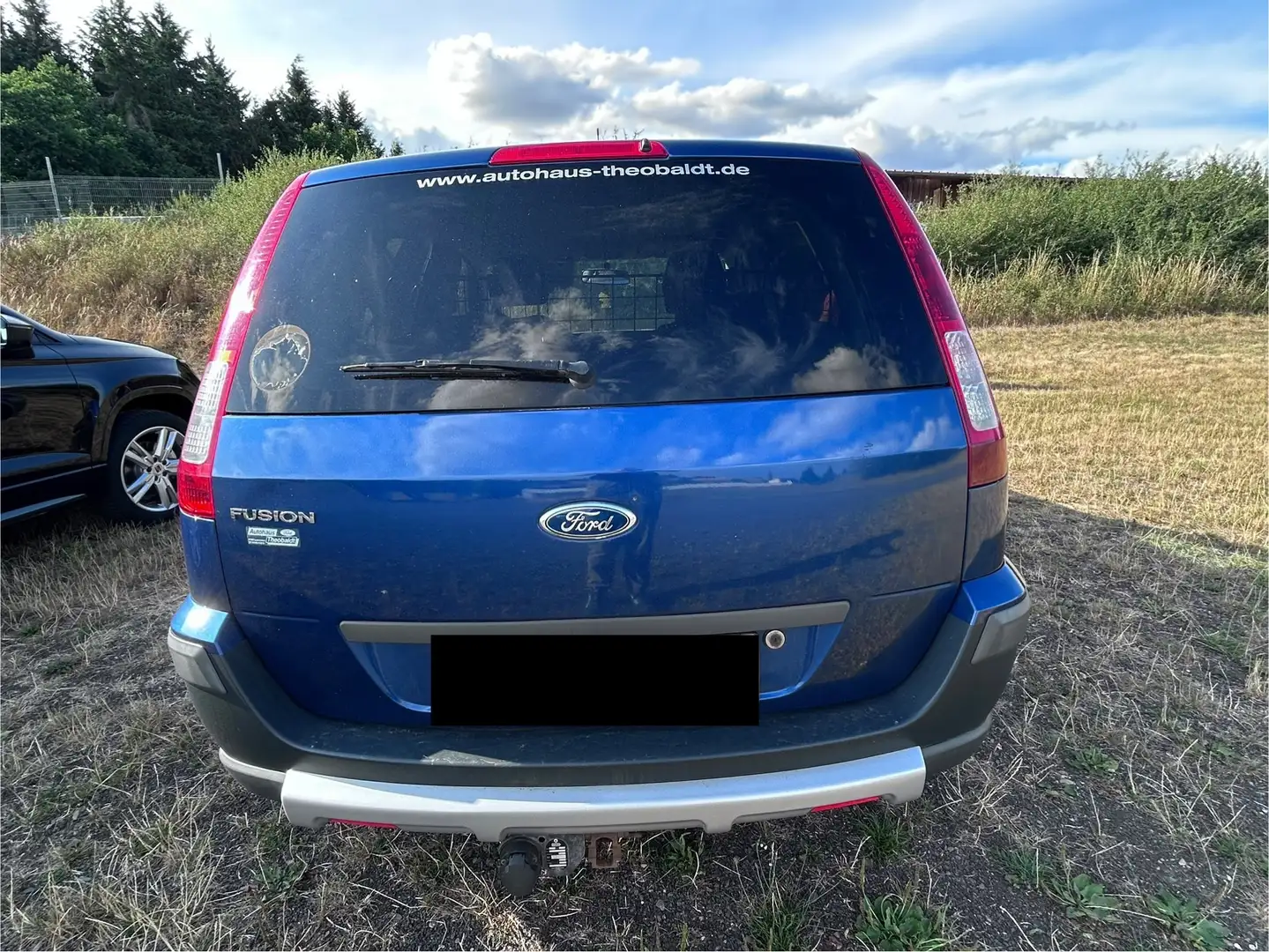 Ford Fusion Fusion Blau - 2
