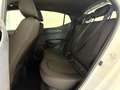 Hyundai i10 N Line 1.0 T-GDI 66 kW (90 PS) Line-Interieur-P... Weiß - thumbnail 14
