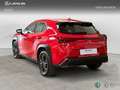 Lexus UX 200 SUV BUSINESS 2.0 Híbrido Gasolina Transmisión Au Rosso - thumbnail 2