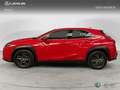 Lexus UX 200 SUV BUSINESS 2.0 Híbrido Gasolina Transmisión Au Rosso - thumbnail 3