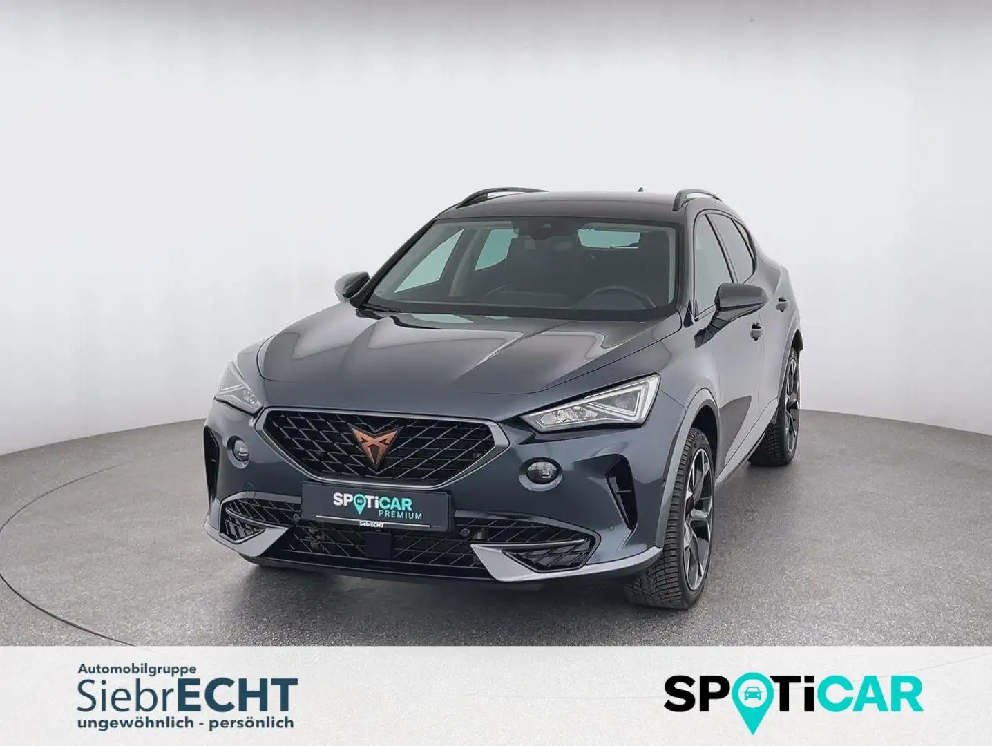 CUPRA Formentor Basis 4Drive 2.0 TDI*NAVI*SHZ*RFK*uvm Grigio - 1