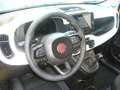 Fiat Panda Cross Pandina 1.0 FireFly Hybrid 5P Nuovo Modell Geel - thumbnail 14