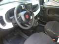 Fiat Panda Cross Pandina 1.0 FireFly Hybrid 5P Nuovo Modell Geel - thumbnail 13