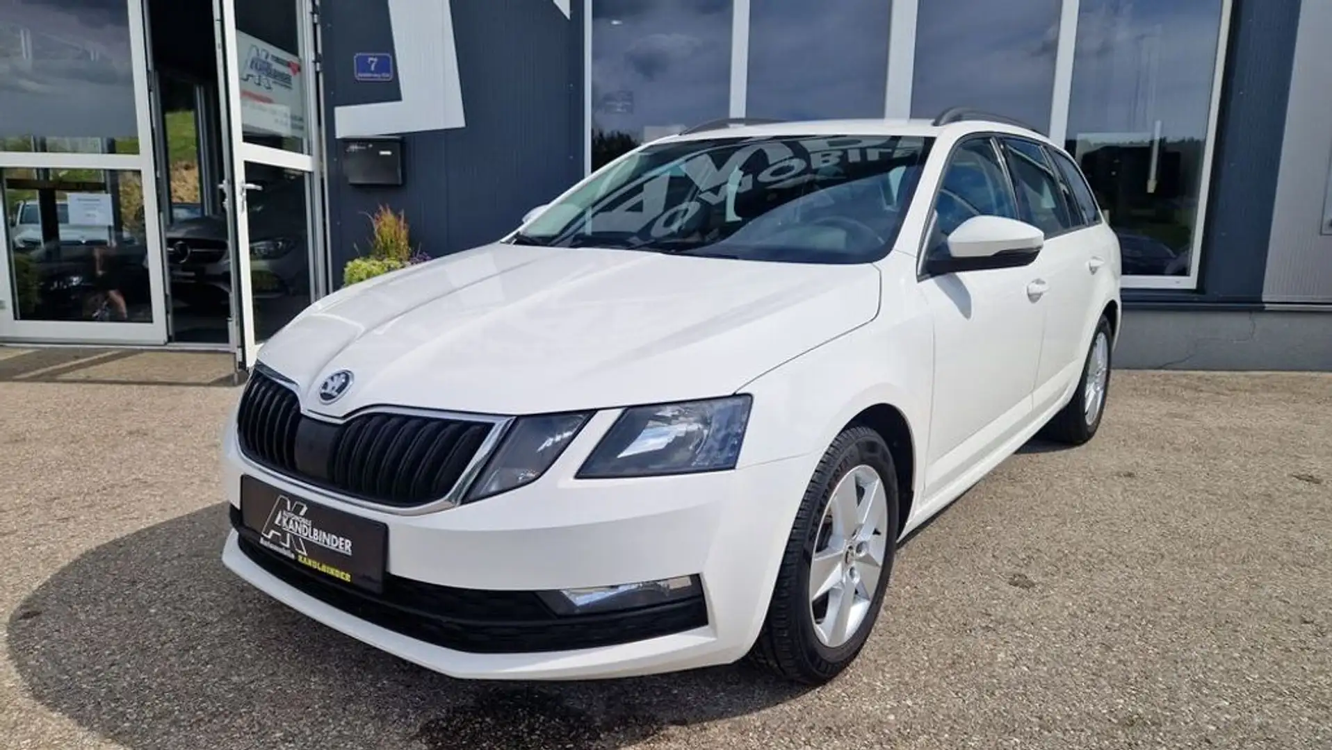 Skoda Octavia Kombi TDI ''1.Besitz'' Weiß - 1