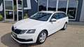 Skoda Octavia Kombi TDI ''1.Besitz'' Weiß - thumbnail 3