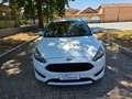 Ford Focus Focus IV 2015 5p 1.5 tdci ST-Line s Bianco - thumbnail 5