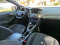Ford Focus Focus IV 2015 5p 1.5 tdci ST-Line s Bianco - thumbnail 12