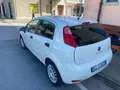 Fiat Punto Evo 1.4 8V Start&Stopp S Bianco - thumbnail 4