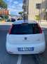 Fiat Punto Evo 1.4 8V Start&Stopp S Bianco - thumbnail 2