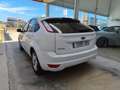 Ford Focus 1.6 Trend Blanco - thumbnail 6