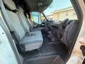 Renault Master 2.0 dci 130cv Bianco - thumbnail 9