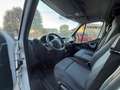 Renault Master 2.0 dci 130cv Bianco - thumbnail 5