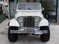 Jeep CJ-7 V8 5.0 150CV - thumbnail 7