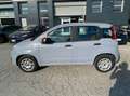 Fiat Panda Panda III 2016 1.2 Easy s Grigio - thumbnail 2