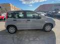 Fiat Panda Panda III 2016 1.2 Easy s Grigio - thumbnail 3
