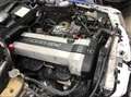 Mercedes-Benz CE 300 CABRIO CE 24V 300 H-KENNZEICHEN Blanco - thumbnail 28